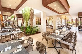 Stay at Hotel Riu Palace Oasis