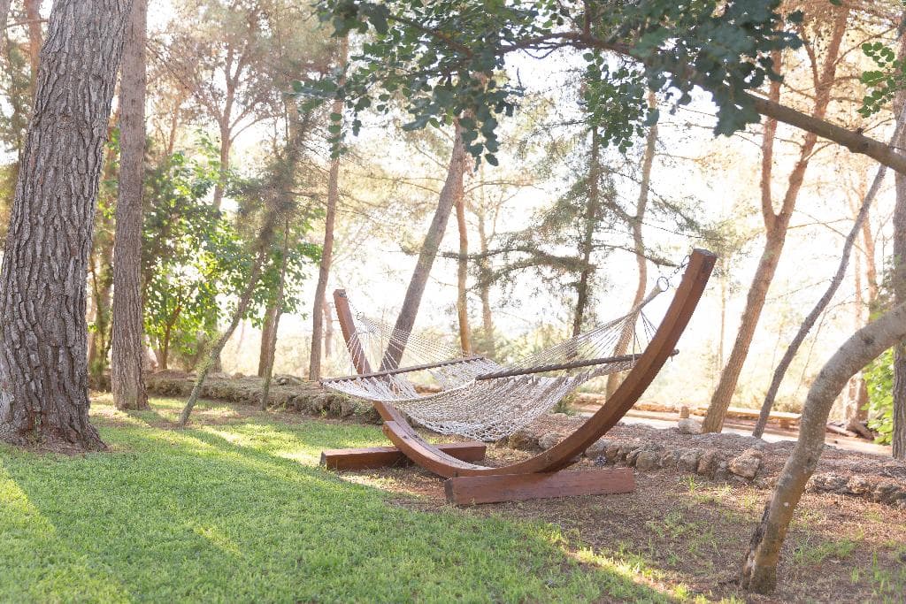 Flight + Stay at Agroturismo Sa Talaia Adults only image 25